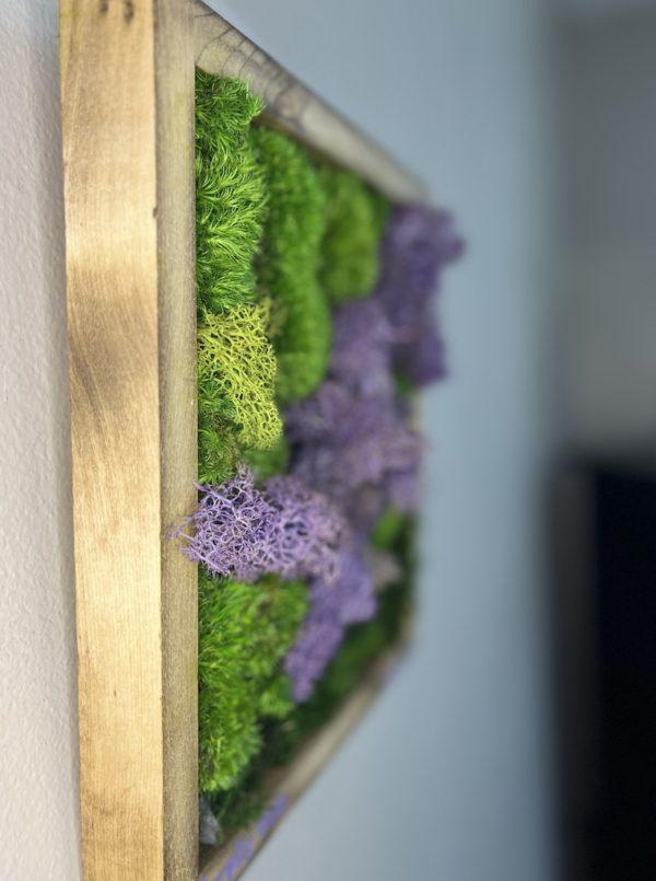 moss wall art purple vein