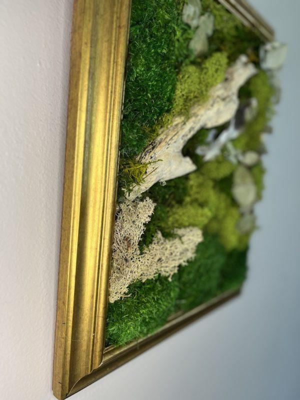 Moss wall art - feathery driftwood moss art 3